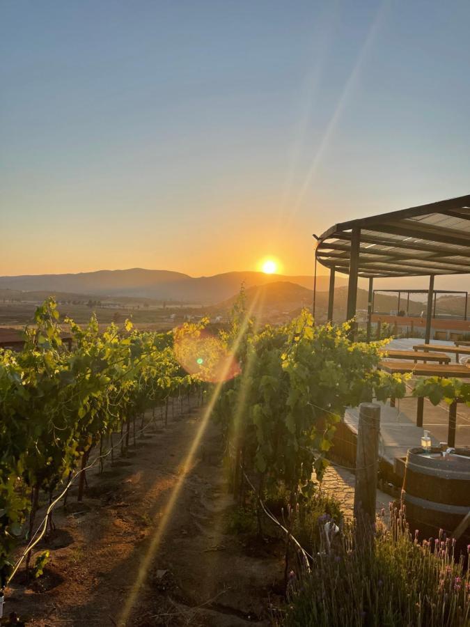 Siempre Valle Valle de Guadalupe Esterno foto