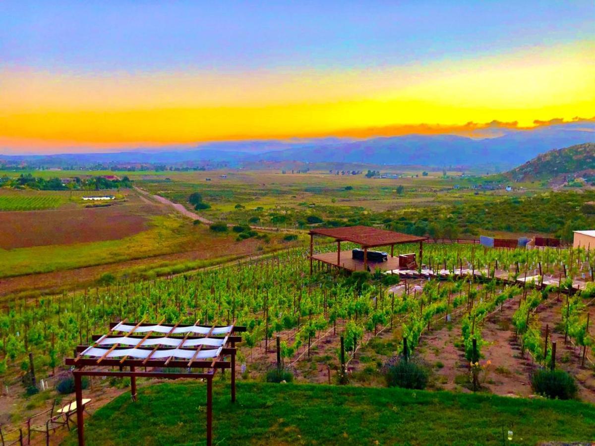 Siempre Valle Valle de Guadalupe Esterno foto